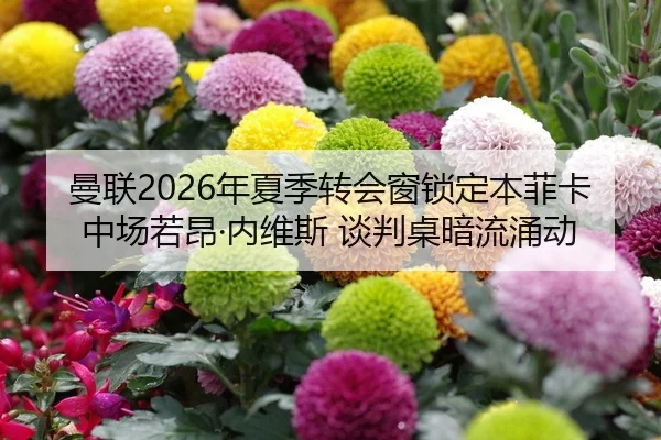 曼联2026年夏季转会窗锁定本菲卡中场若昂·内维斯 谈判桌暗流涌动（Leyu）